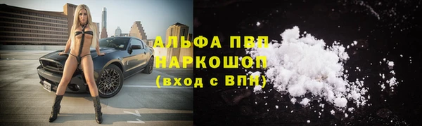 гидропоника Алзамай
