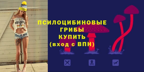 гидропоника Алзамай