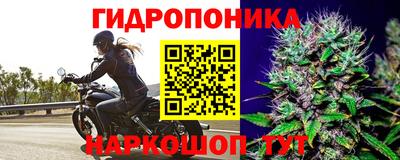 стафф Изобильный