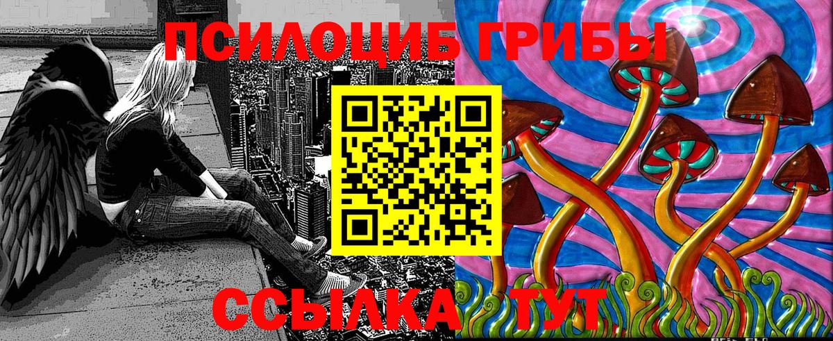 Псилоцибиновые грибы MAGIC MUSHROOMS  Псилоцибиновые грибы Cubensis  Котельники  Вход с VPN 